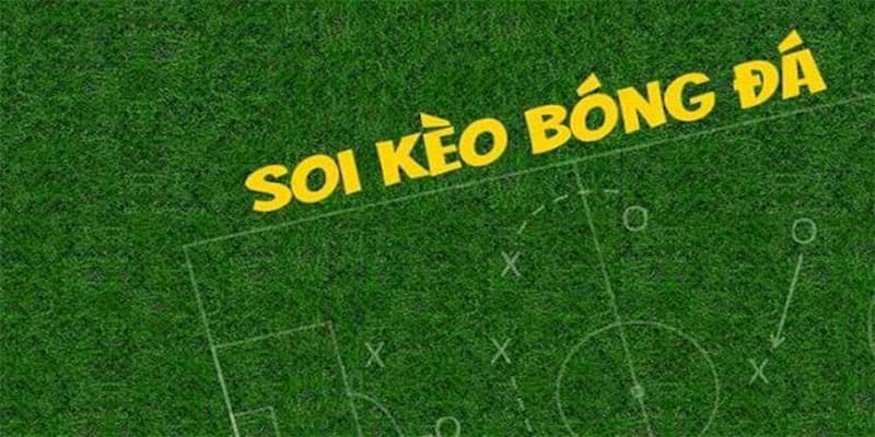 Hướng dẫn cách đọc và phân tích